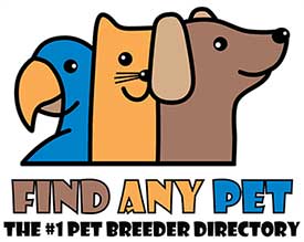 Find Any Pet